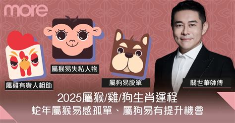 屬虎皮夾顏色|2025年屬虎適合什麼顏色皮夾？挑選指南與建議